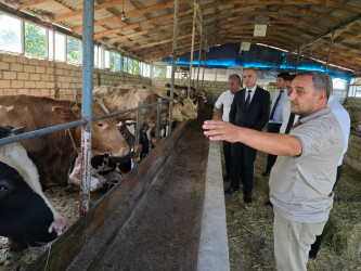 Goranboyda Dövlət Proqramının icrası çərçivəsində heyvandarlıq sahəsində maarifləndirici tədbir keçirildi