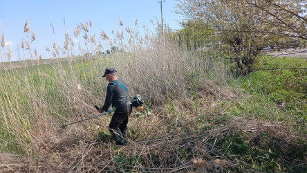 Goranboy rayonunda abadlıq və təmizlik işləri davam etdirilir