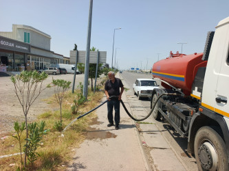 Goranboyda “Şəhərsalma və Memarlıq ili “ çərçivəsində yol kənarlarında əkilmiş ağaclara aqrotexniki qulluq göstərilir və suvarılma işləri aparılır