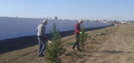 Goranboyda  "Yaşıl dünya naminə həmrəylik ili"  çərçivəsində, növbəti ağacəkmə aksiyası həyata keçirildi.