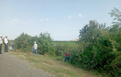 Goranboyda təmizlik  həftəsi  çərçivəsində, yol kənarlarının  məişət  tullantılarından təmizlənməsi ilə  bağlı,  ümumrayon  iməciliyi  təşkil  edildi.