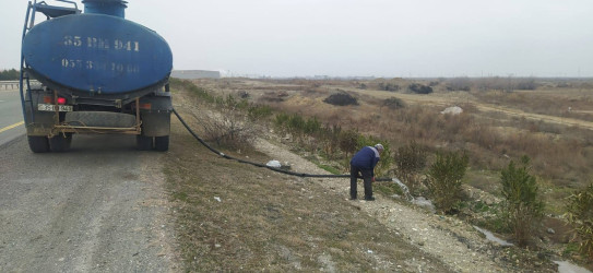 Goranboyda, "Yaşıl dünya naminə həmrəylik ili" ilə bağlı, yeni salınmış yaşıllıq zolaqlarına aqrotexniki qulluq işləri davam etdirilir.