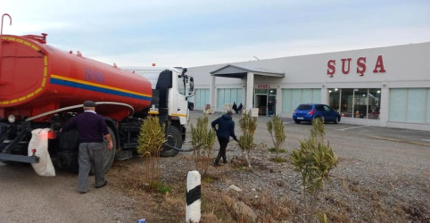 Goranboyda yeni salınmış yaşıllıq zolaqlarına aqrotexniki qulluq işləri davam etdirilir