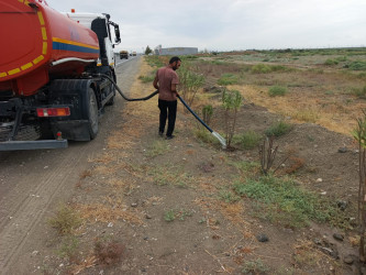 Goranboyda yol kənarında ağaclar suvarıldı, məişət tullantıları təmizləndi