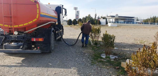 Goranboyda yeni salınmış yaşıllıq zolaqlarına aqrotexniki qulluq işləri davam etdirilir