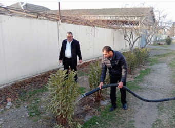Goranboyda yeni salınmış yaşıllıq zolaqlarına aqrotexniki qulluq işləri davam etdirilir