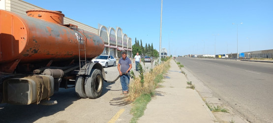 Goranboyda yeni salınmış yaşıllıq zolaqlarına aqrotexniki qulluq işləri davam etdirilir