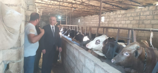 Goranboy rayonunun Muzdurlar kəndində 2026–2030-cu illər üçün Dövlət Proqramının icrası ilə bağlı marifləndirici görüş keçirildi