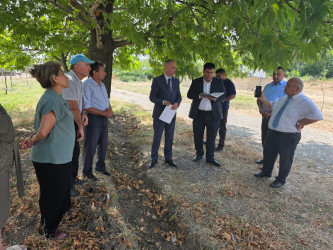 İcra Başçısının səyyar qəbulunda olunan müraciətlər yerində araşdırılaraq həll olundu