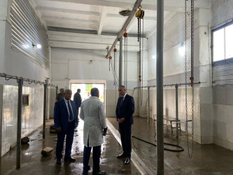 Goranboyda Qurban bayramı münasibətilə vətəndaşlara sağlam və təhlükəsiz ət məhsullarının təqdim olunmasını təmin etmək məqsədilə rayonda fəaliyyət göstərən ət kəsimi məntəqəsinə baxış keçirildi