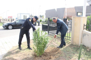 Goranboyda, “27 sentyabr – Anım Günü” ilə bağlı ağacəkmə aksiyası keçirildi.