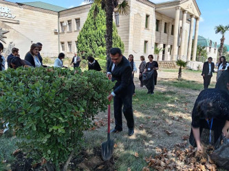 Goranboyda  "Yaşıl dünya naminə həmrəylik ili" ilə bağlı tədbirlər davam etdirilir.