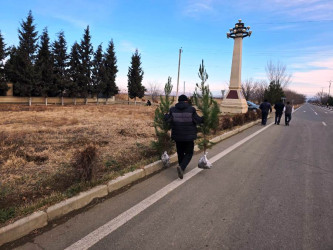 Goranboyda “Şəhərsalma və Memarlıq İli” çərçivəsində ağacəkmə aksiyası keçirildi