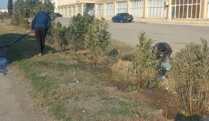 Goranboyda, "Yaşıl dünya naminə həmrəylik ili" ilə bağlı, yeni əkilmiş ağac və kolların suvarılması və aqrotexniki  işləri davam etdirilir