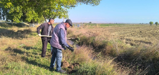 Goranboyda,   "Yaşıl dünya naminə həmrəylik ili" ilə bağlı, yeni yaşıllıq zolaqlarının salınması və mövcud infrastrukturun genişləndirilməsi işləri davam etdirilir.