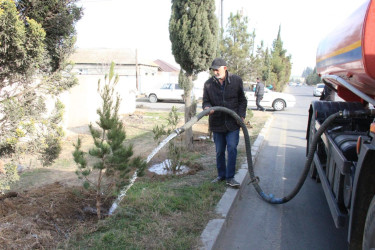 Goranboyda ağacəkmə aksiyası keçirildi