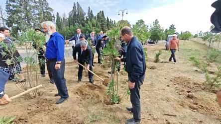 Goranboyda “27 sentyabr –Anım Günü” ilə bağlı ağacəkmə aksiyası keçirildi