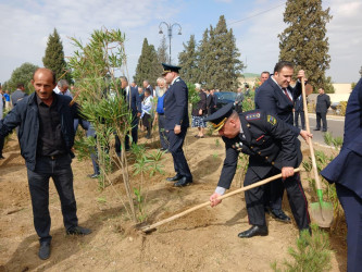 Goranboyda “27 sentyabr –Anım Günü” ilə bağlı ağacəkmə aksiyası keçirildi
