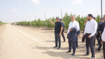 Goranboyda Dövlət Proqramından irəli gələn məsələlərin uğurla icrası davam edir