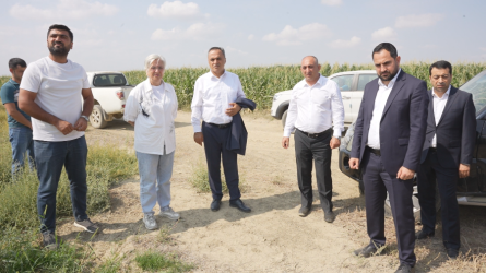 Goranboyda aqrar sahədə yeni layihələrin icrası ilə bağlı monitorinq aparıldı
