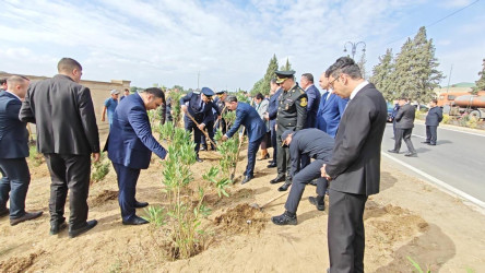 Goranboyda “27 sentyabr –Anım Günü” ilə bağlı ağacəkmə aksiyası keçirildi