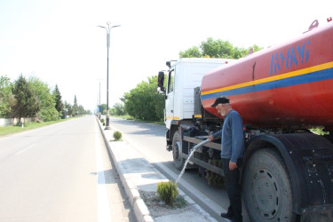 Gülə, çiçəyə bürünən Goranboy