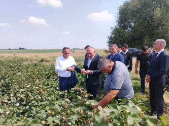 Goranboyda Dövlət Proqramından irəli gələn vəzifələrin uğurla icrası diqqət mərkəzindədir