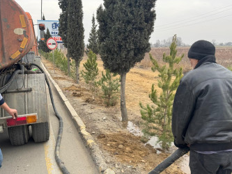 Goranboyun 2026-cı il üçün "Gənclər Paytaxtı" seçilməsi ilə bağlı “Gənclər həftəsi” çərçivəsində ağacəkmə aksiyası keçirildi