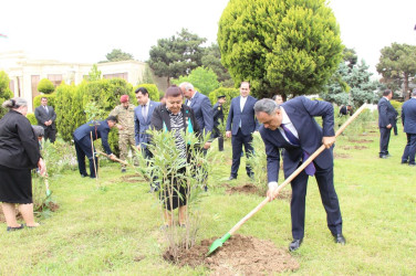 Ümummilli Liderimiz Heydər Əliyevin anadan olmasının 101-ci ildönümü ilə bağlı, ümumrayon tədbiri 2024-05-10