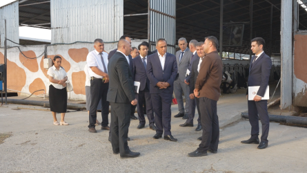 Goranboyda Dövlət Proqramının icrası ilə bağlı layihələr təhlil olunur
