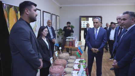Goranboyda “Aqrar sahədə dövlətin dəstək mexanizmləri” mövzusunda panel müzakirələr və toxum sərgi-satış yarmarkası keçirildi