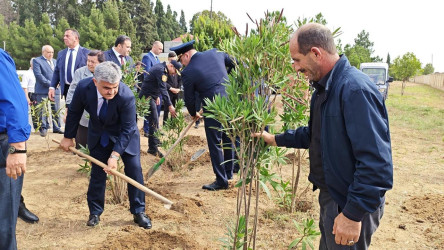 Goranboyda “27 sentyabr –Anım Günü” ilə bağlı ağacəkmə aksiyası keçirildi