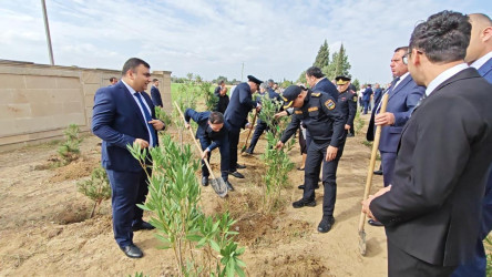 Goranboyda “27 sentyabr –Anım Günü” ilə bağlı ağacəkmə aksiyası keçirildi