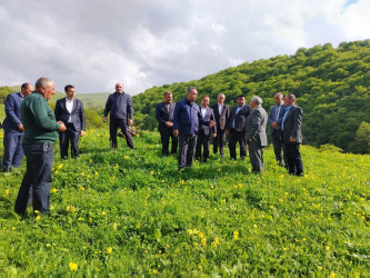 Mənəşli kəndində davamlı içməli su təhcizatının təmin olunması məqsədi ilə su xəttinin çəkilməsi nəzərdə tutulub