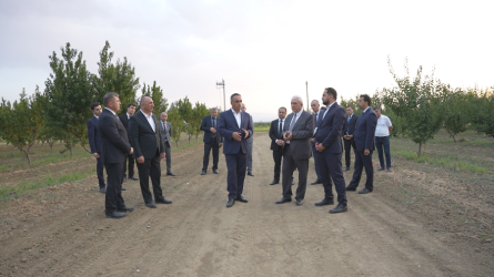 Goranboyda Dövlət proqramından irəli gələn məsələlər uğurla icra olunur