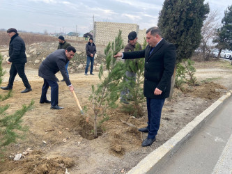 Goranboyun 2026-cı il üçün "Gənclər Paytaxtı" seçilməsi ilə bağlı “Gənclər həftəsi” çərçivəsində ağacəkmə aksiyası keçirildi