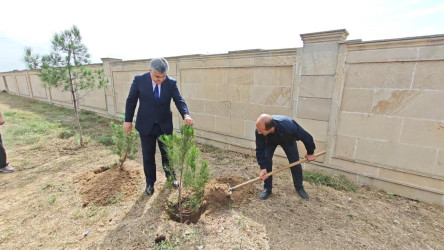 Goranboyda “27 sentyabr –Anım Günü” ilə bağlı ağacəkmə aksiyası keçirildi