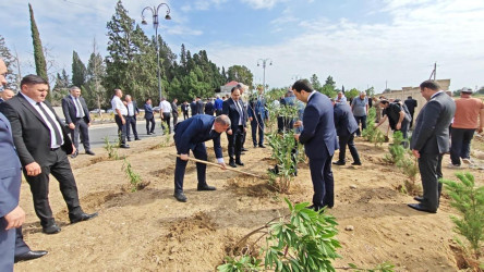 Goranboyda “27 sentyabr –Anım Günü” ilə bağlı ağacəkmə aksiyası keçirildi