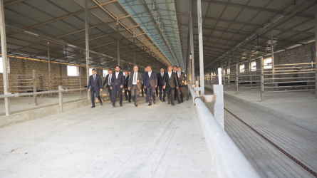 Goranboyda “2026–2030-cu illər üçün Dövlət Proqramı”-nın icrası uğurlu davam edir