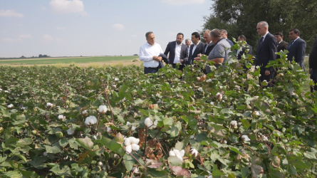 Goranboyda Dövlət Proqramından irəli gələn vəzifələrin uğurla icrası diqqət mərkəzindədir