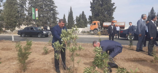 Goranboyda “27 sentyabr –Anım Günü” ilə bağlı ağacəkmə aksiyası keçirildi