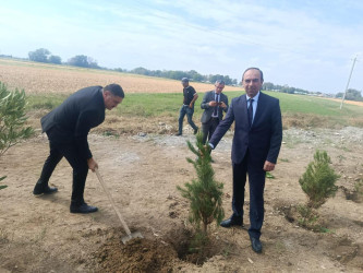 Goranboyda “27 sentyabr –Anım Günü” ilə bağlı ağacəkmə aksiyası keçirildi