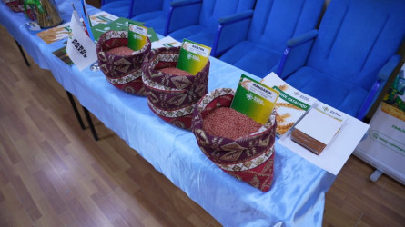 Goranboyda “Aqrar sahədə dövlətin dəstək mexanizmləri” mövzusunda panel müzakirələr və toxum sərgi-satış yarmarkası keçirildi