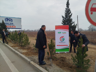 Goranboyun 2026-cı il üçün "Gənclər Paytaxtı" seçilməsi ilə bağlı “Gənclər həftəsi” çərçivəsində ağacəkmə aksiyası keçirildi