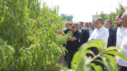 Goranboyda Dövlət Proqramından irəli gələn məsələlərin uğurla icrası davam edir