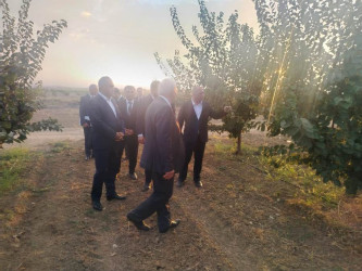 Goranboyda Dövlət proqramından irəli gələn məsələlər uğurla icra olunur