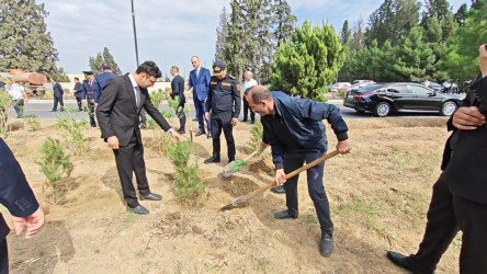 Goranboyda “27 sentyabr –Anım Günü” ilə bağlı ağacəkmə aksiyası keçirildi