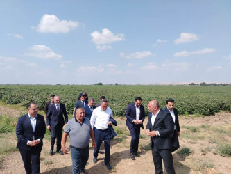 Goranboyda Dövlət Proqramından irəli gələn vəzifələrin uğurla icrası diqqət mərkəzindədir