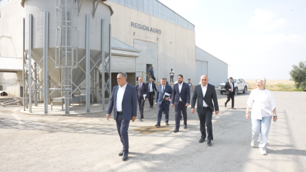 Goranboyda aqrar sahədə yeni layihələrin icrası ilə bağlı monitorinq aparıldı