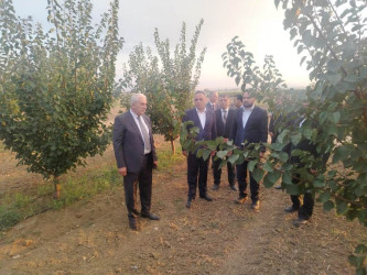 Goranboyda Dövlət proqramından irəli gələn məsələlər uğurla icra olunur